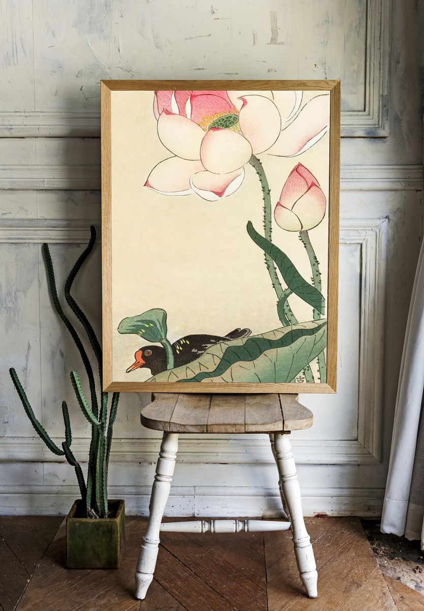 Gallinule Lotus Flowers. — room view 1