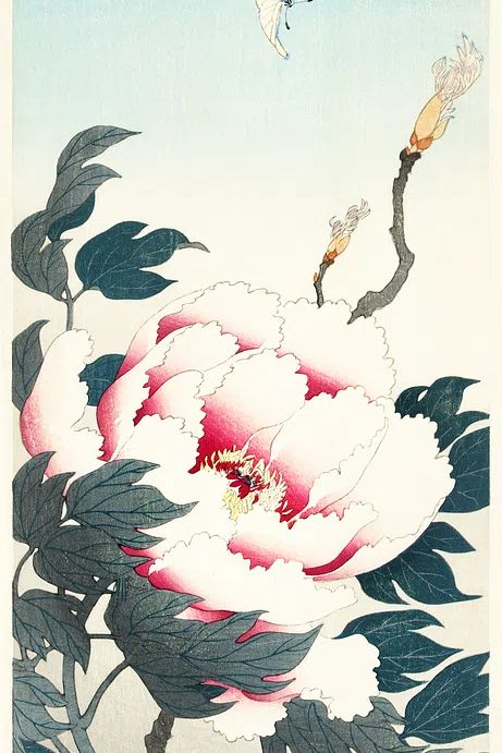 Peony butterfly (1925 - 1936). poster detail