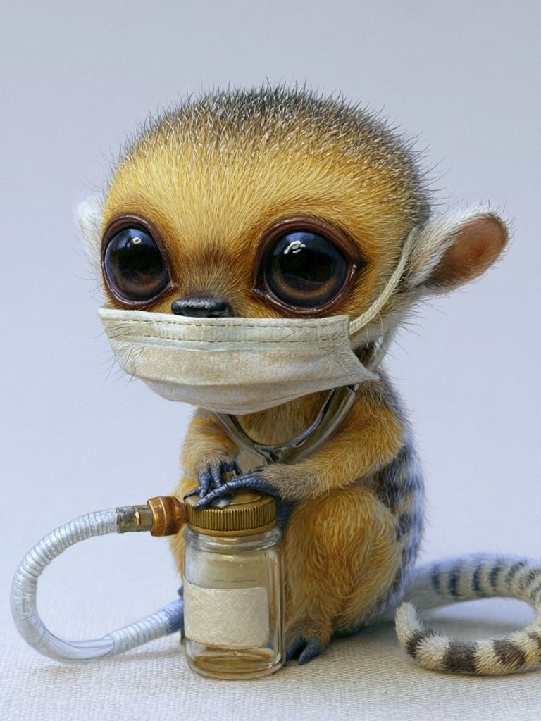 Masked Baby Lemur Illustration Poster. poster detail