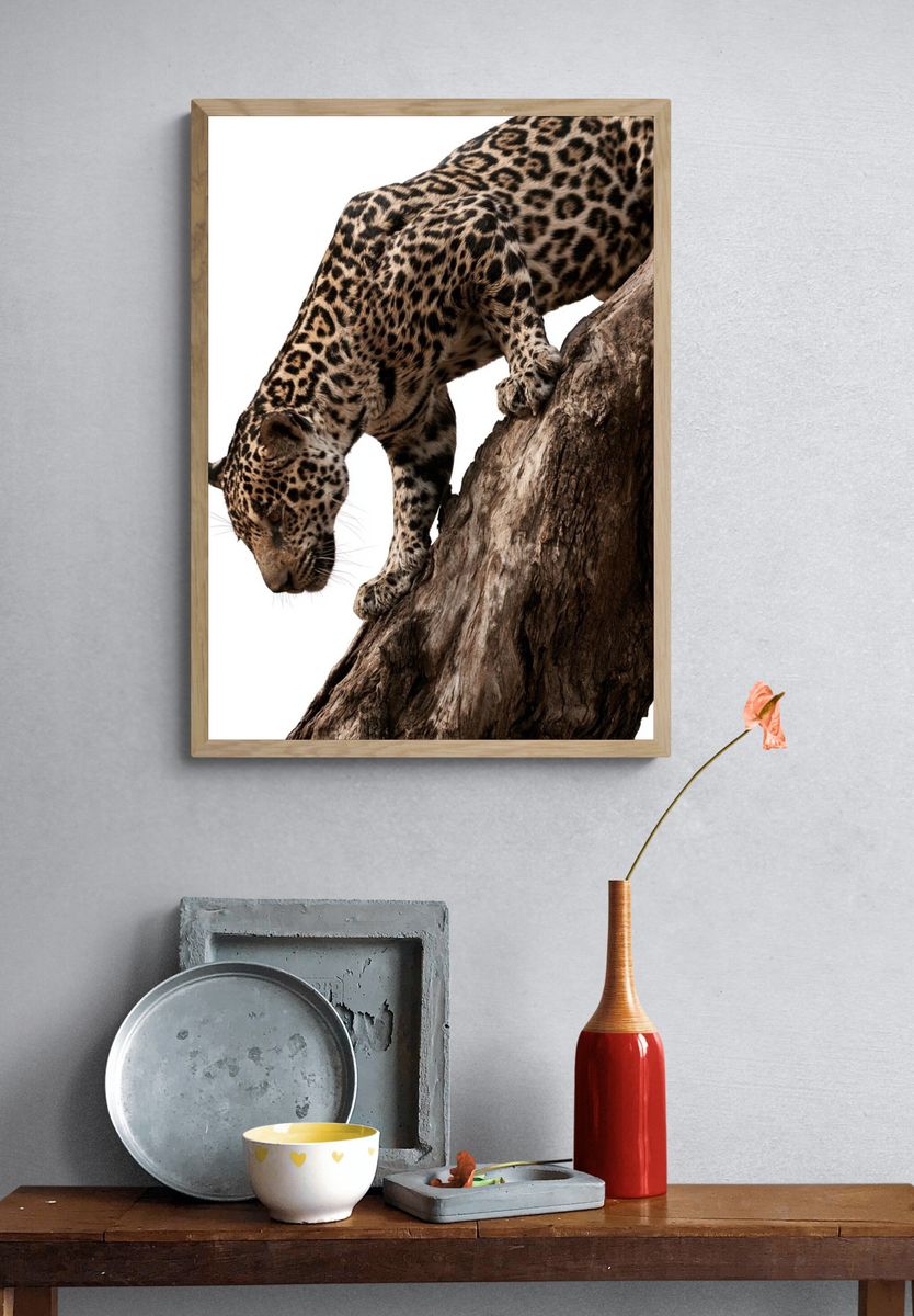 Leopard on Tree Trunk Photography Poster. — room view 3