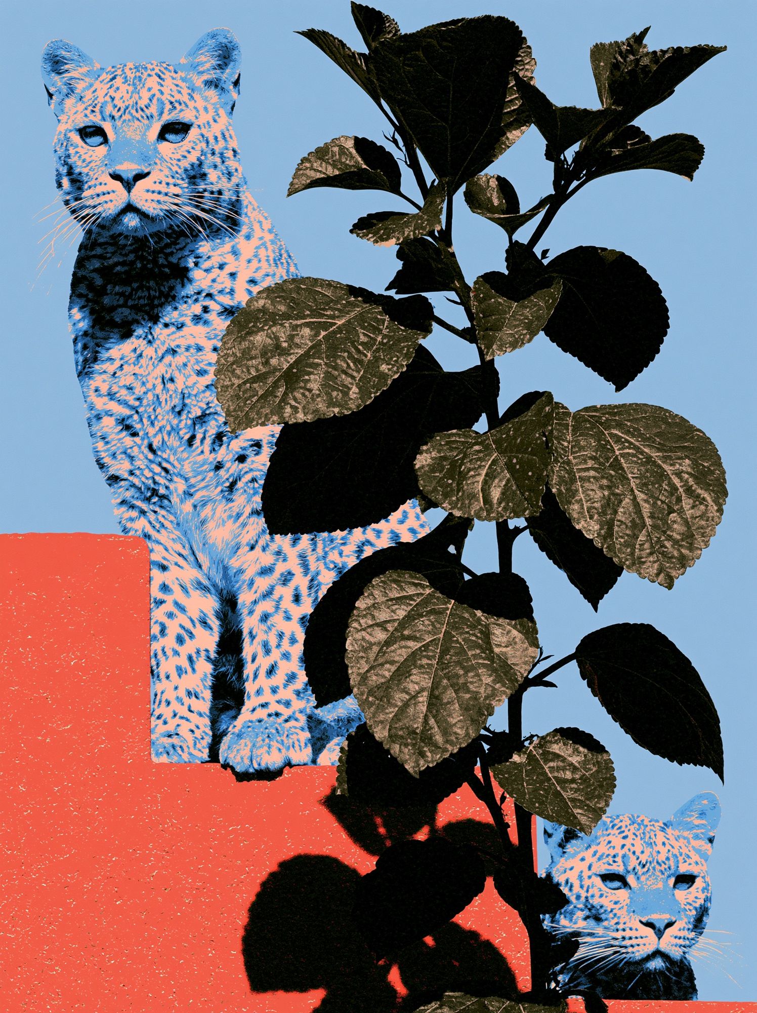 Leopard and Foliage Collage Print. poster detail