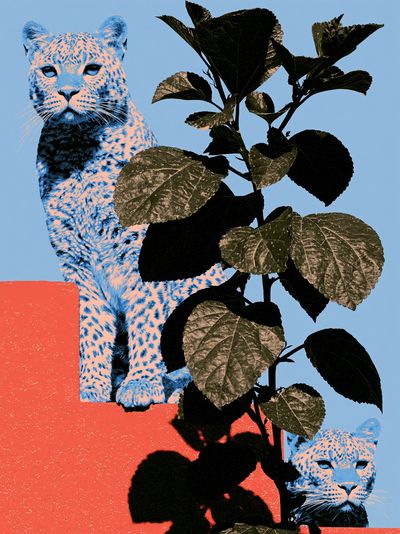 Leopard and Foliage Collage Print. poster