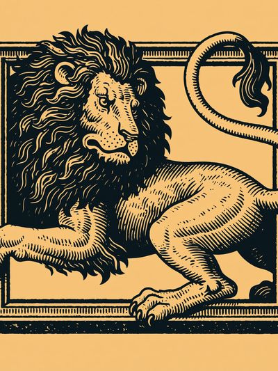 Lion in Frame Illustration Poster. poster