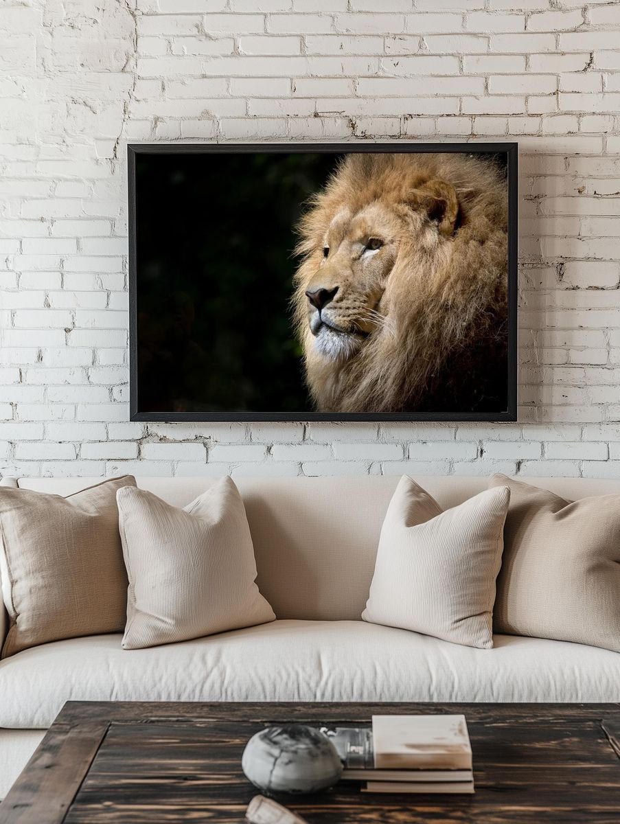 Free male lion background, wildlife. — room view 1