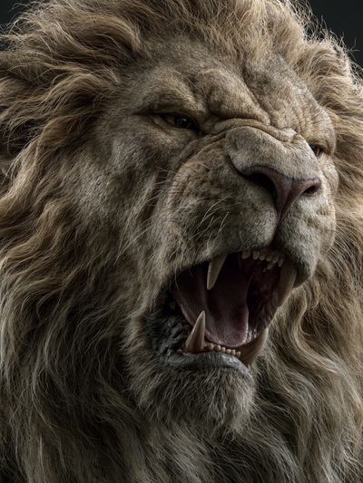 Roaring Lion Portrait Poster. poster