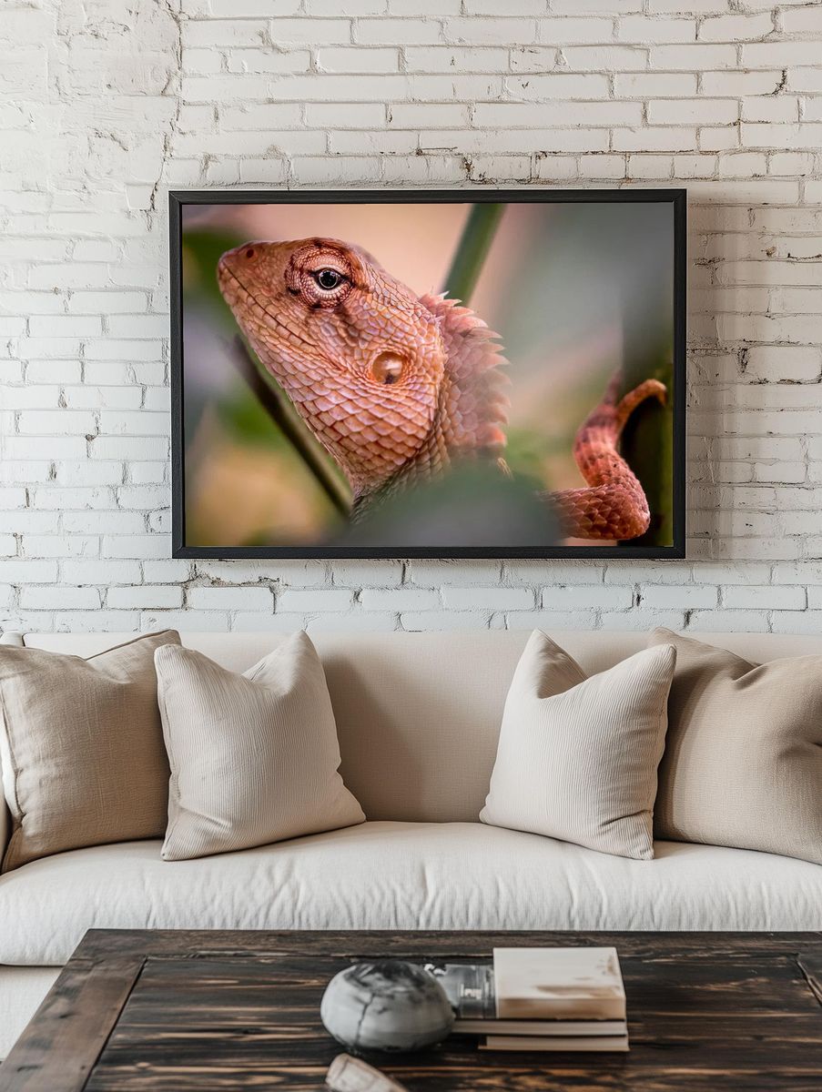 Lizard Close-Up Photography Poster room preview