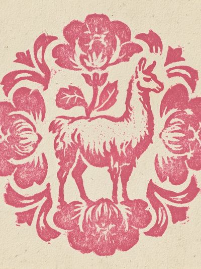 Llama Floral Illustration Poster.