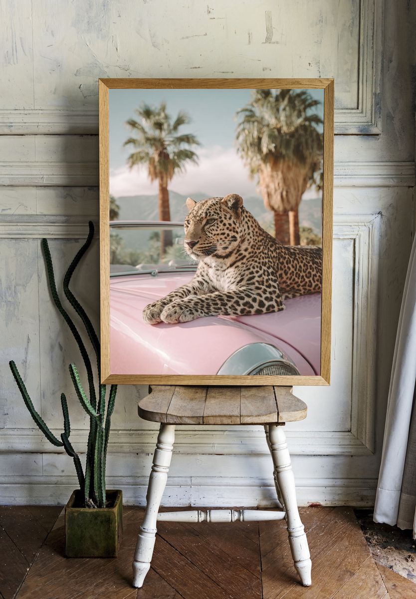 Leopard on Pink Car — Photography Print room preview