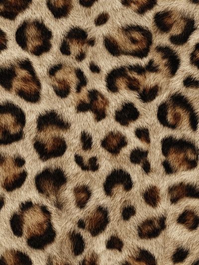 Leopard Print Poster. poster