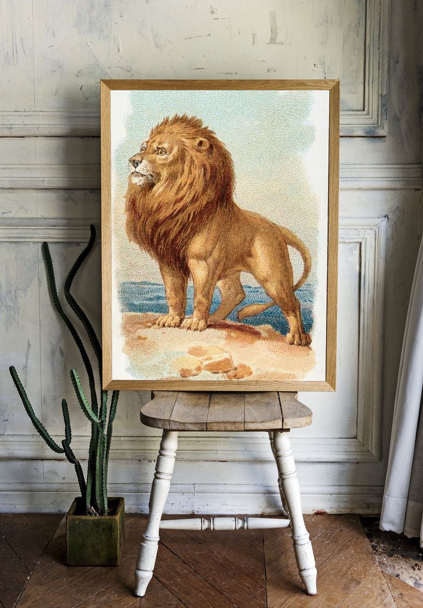 Lion — Vintage Print. — room view 1