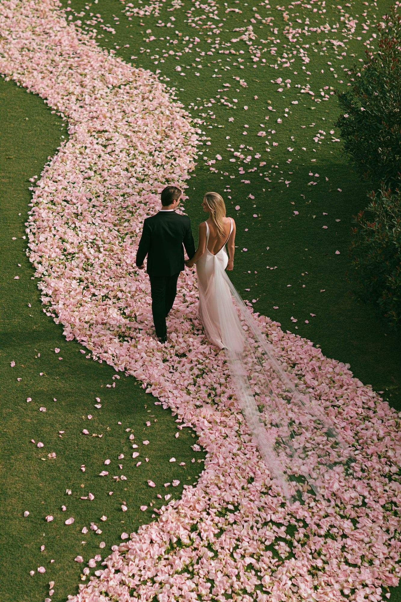 Romantic Petal Path Photography Poster. poster — love-romantic art