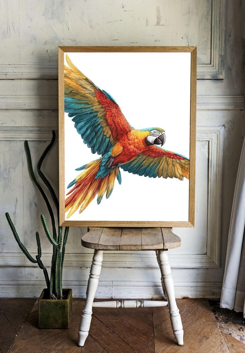 Colorful Macaw Illustration Poster room preview