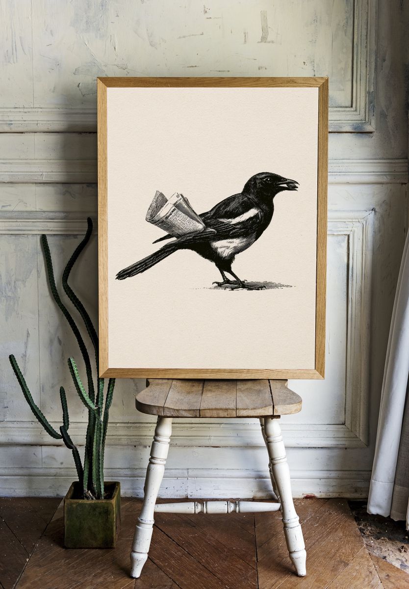 Magpie with Newspaper Illustration Poster. — room view 1