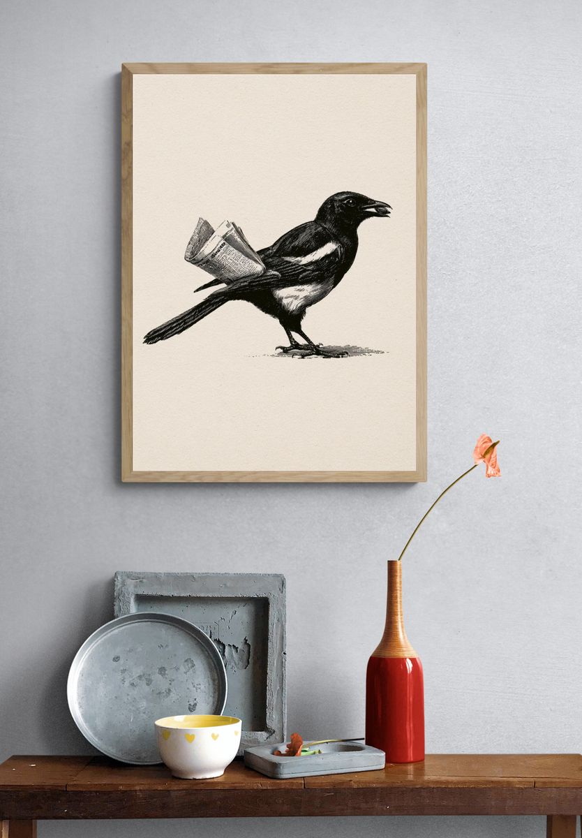 Magpie with Newspaper Illustration Poster. — room view 3