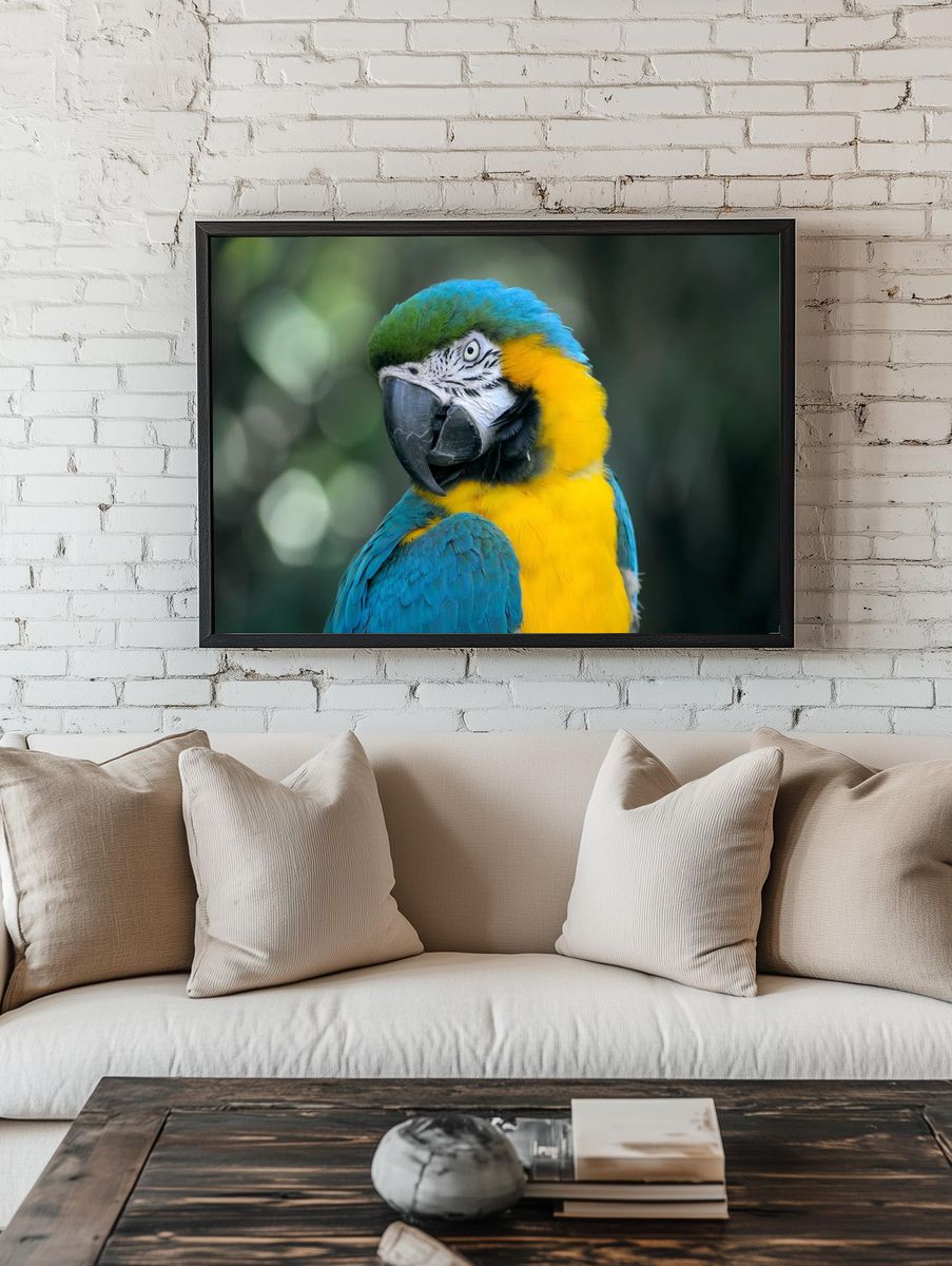 Macaw Parrot Portrait Poster room preview