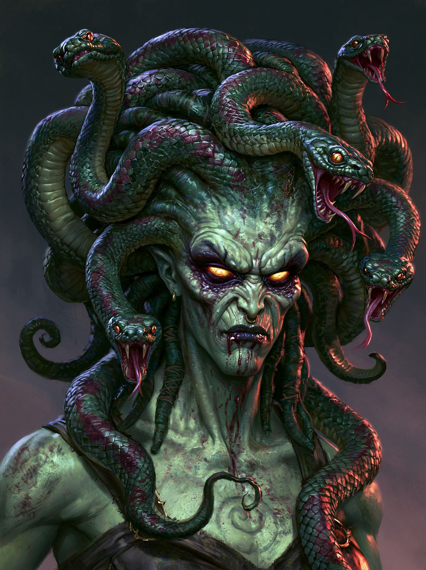 Medusa Serpent Portrait Print. poster — illustration art