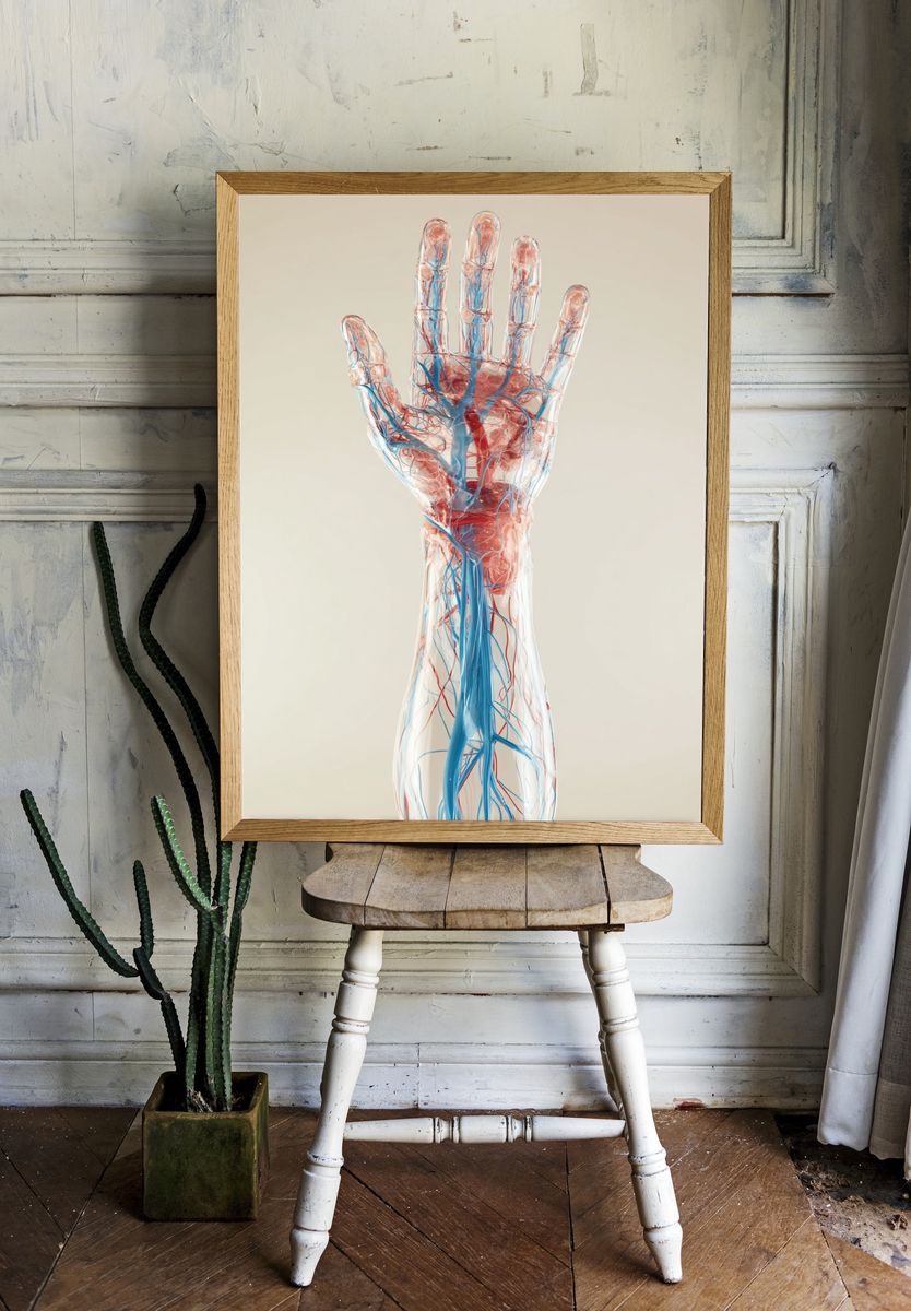 Anatomical Hand — Medical Illustration Poster room preview