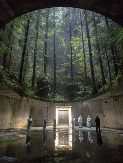 Mysterious Forest Chamber — Photography Print. poster print