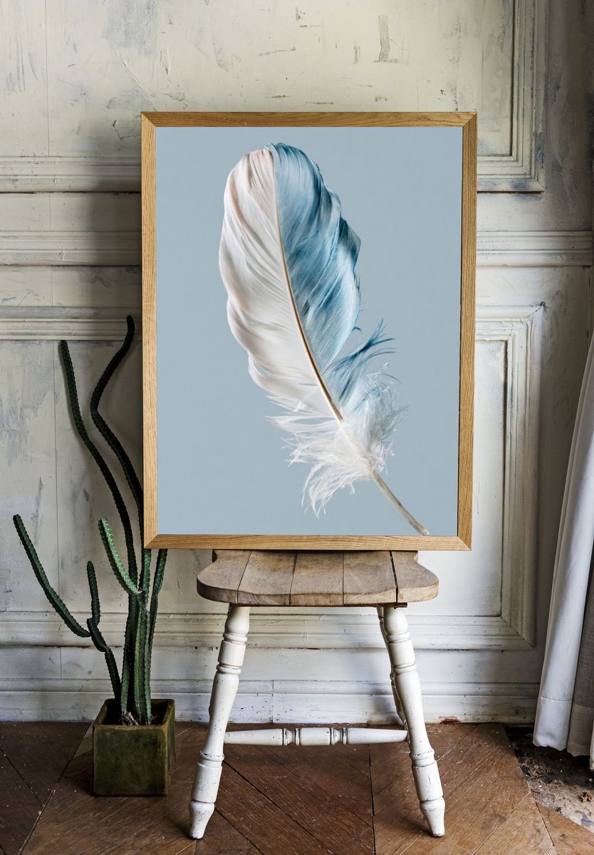 Blue and White Feather Print. — room view 1