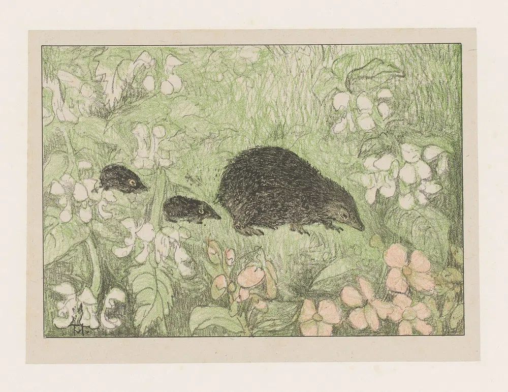 Mole Family in Blooming Garden — Illustration Print. poster — illustration art
