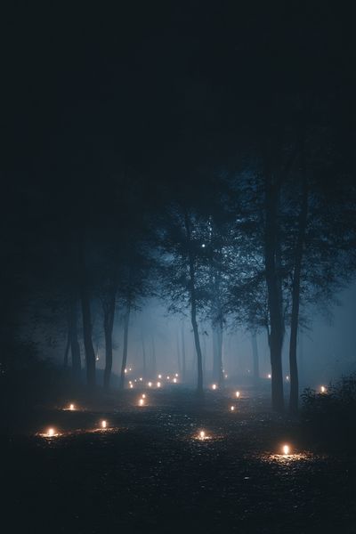 Misty Forest Path — Photography Print. poster print