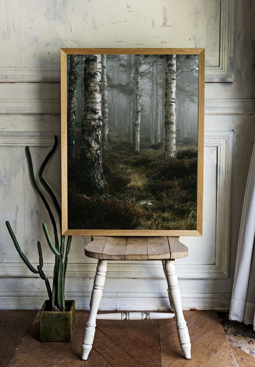 Misty Forest Photography Poster. room preview