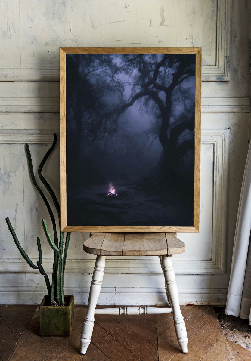 Mysterious Forest at Night — Photography Print. — room view 1