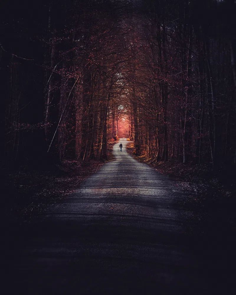 Mysterious Forest Path — Photography Print. poster detail