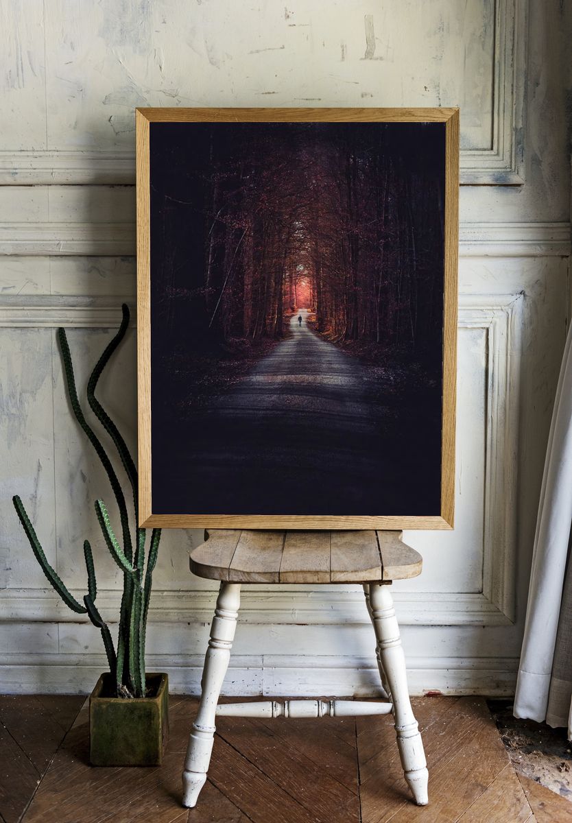Mysterious Forest Path — Photography Print. — room view 1