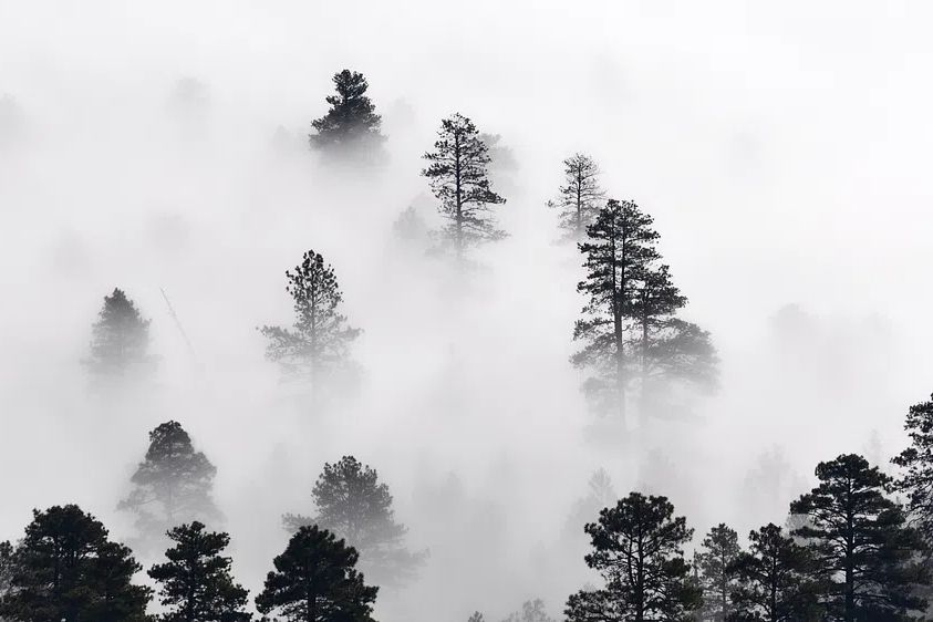 HD wallpaper winter landscape, nature. poster — photography art