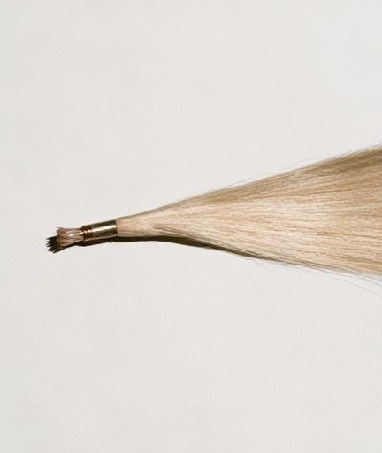 Paintbrush Bristle Study Print. poster detail