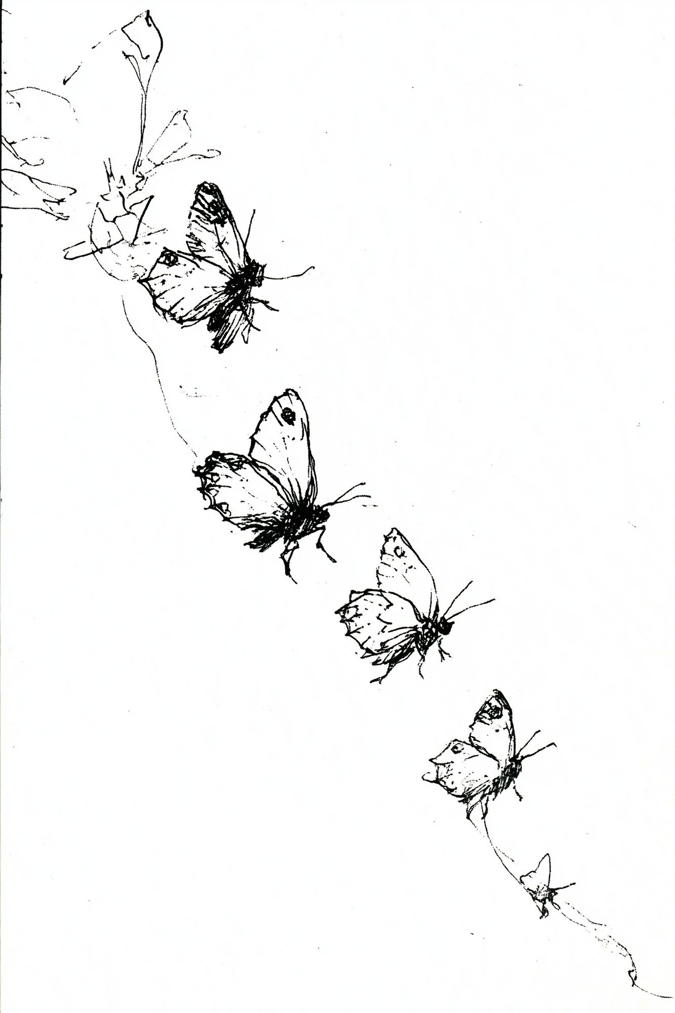 Butterfly Sketch Minimalist Print. poster detail