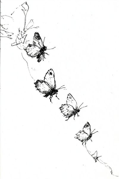 Butterfly Sketch Minimalist Print. poster