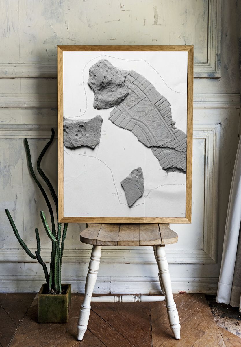 Fossil Fragment Study Print. room preview