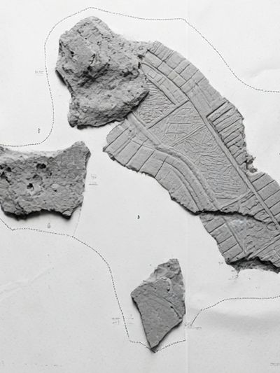 Fossil Fragment Study Print. poster