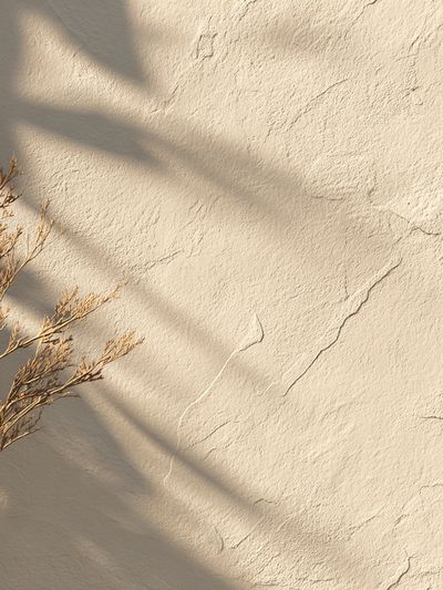 Sunlit Neutral Wall Texture Print