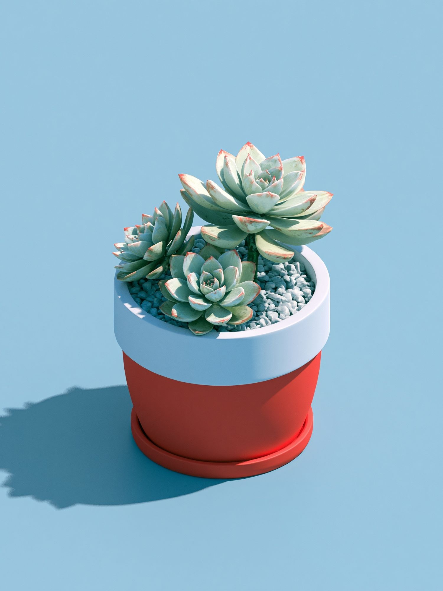 Succulent Pot Minimalist Print. poster — minimalist art