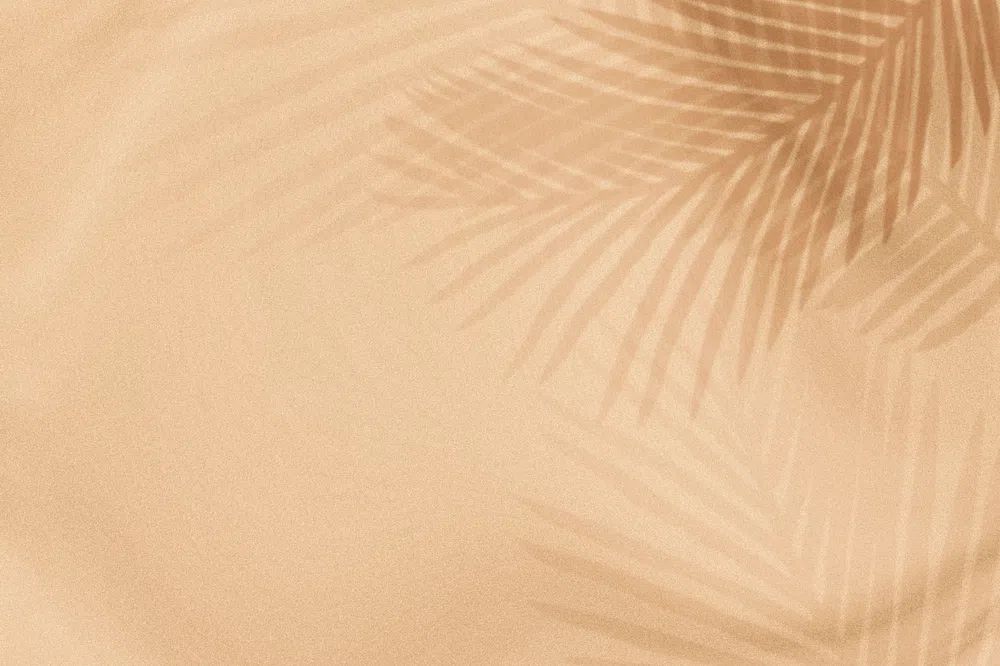 Palm leaves shadow beige background. poster — minimalist art