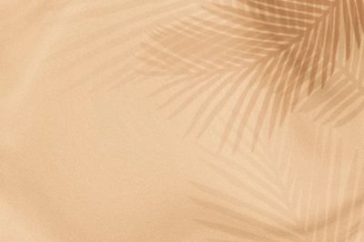 Palm leaves shadow beige background