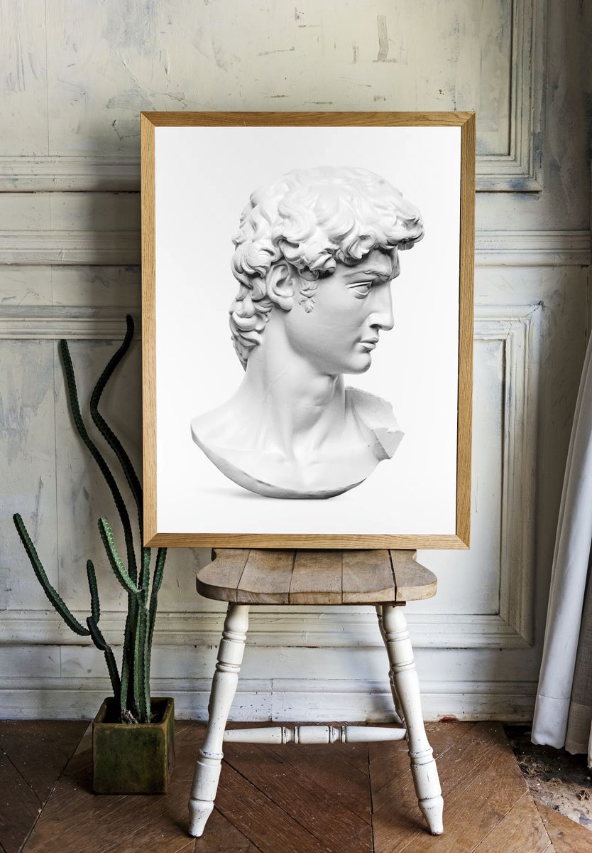 Michelangelo Buonarroti's David statue's head. — room view 1