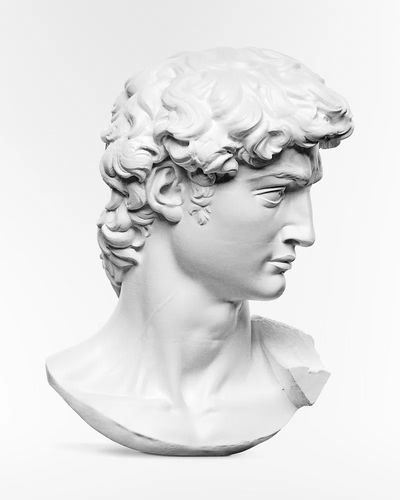 Michelangelo Buonarroti's David statue's head. poster print