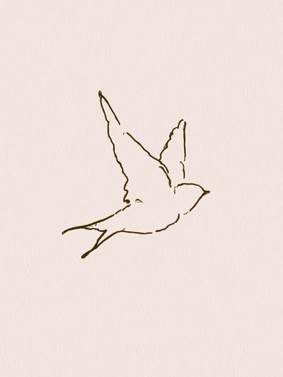 Flying Bird Line Art Poster. poster print