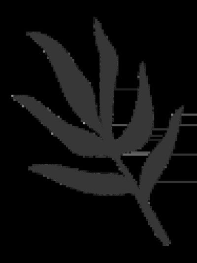 Minimalist Leaf Silhouette Poster