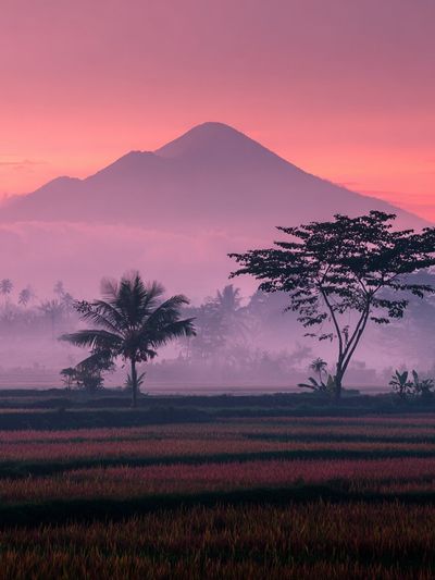 Misty Mountain Sunrise Poster. poster