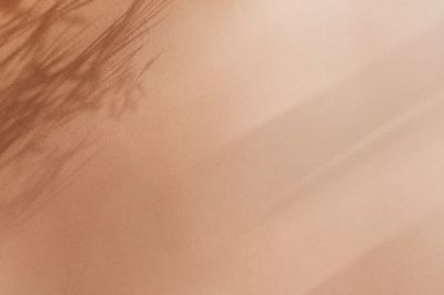 Soft Earth Tones — Minimalist Print