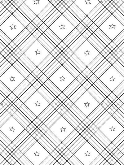 Star Plaid Minimalist Print. poster