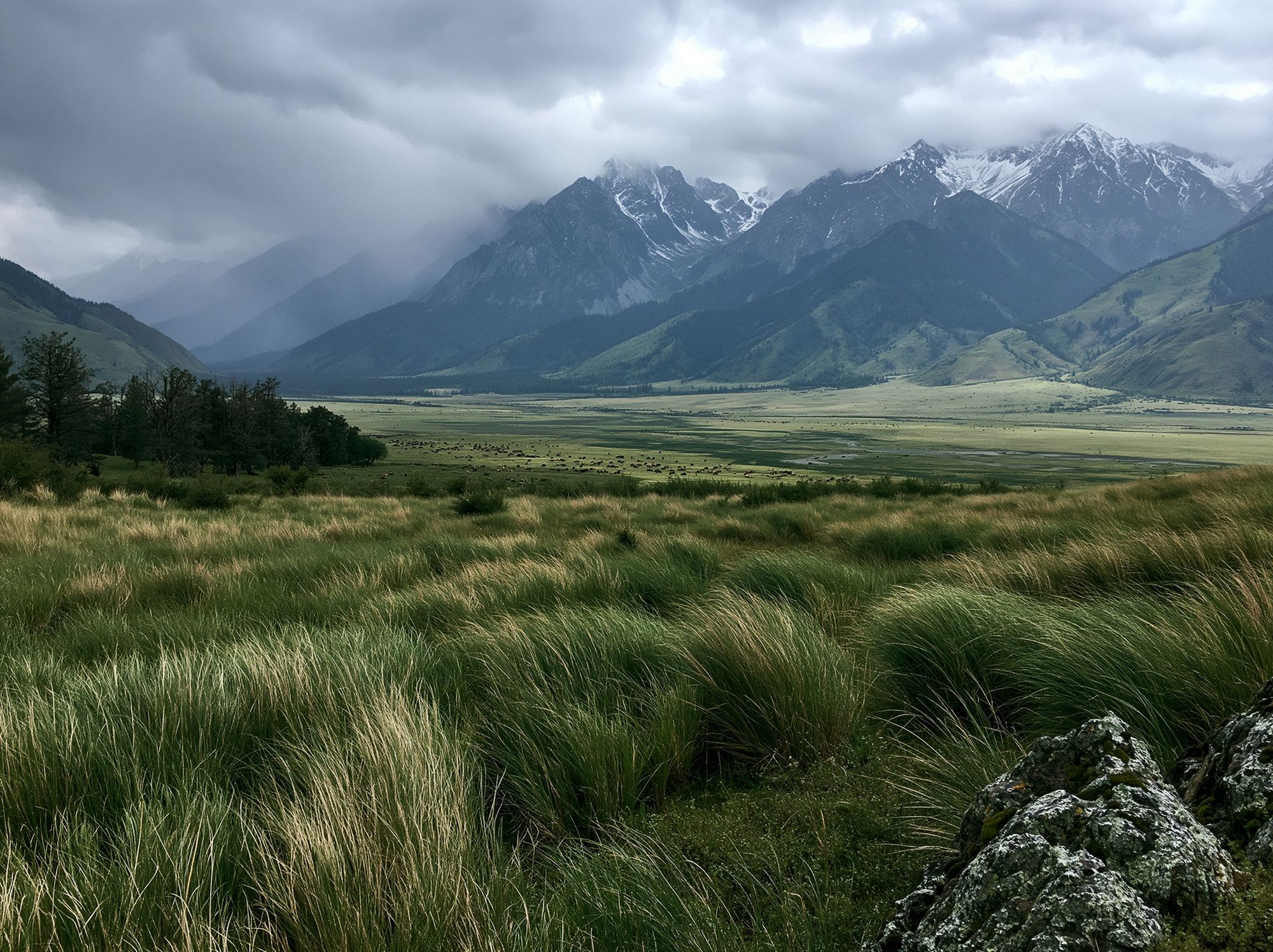 Misty Mountain Valley Photography Poster. poster — photography art