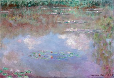 Claude Monet 's Water Lily. poster print