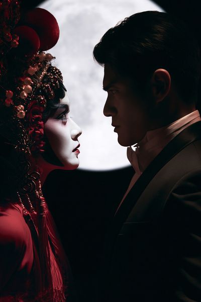 Moonlit Lovers Photography Poster.
