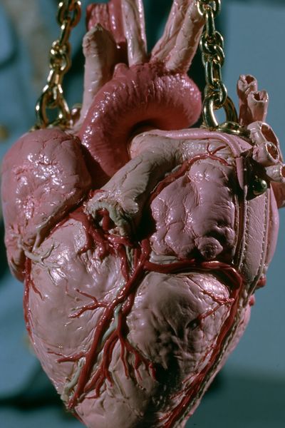 Suspended Anatomical Heart Horror Print.